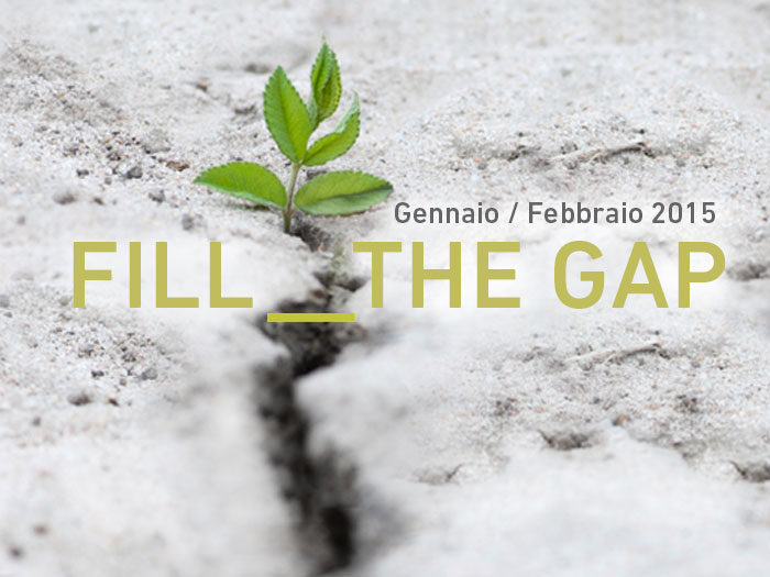 FILL_THEGAP2015